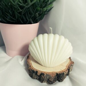 Świeca MUSZLA Biała