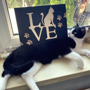 Tabliczka LOVE CAT